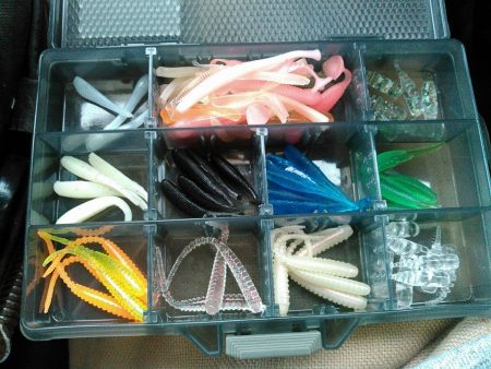 ポイッとして落としたらコンッ☺